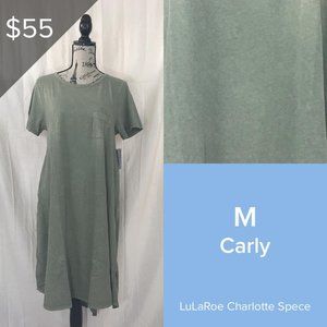 NWT M Green Lularoe Carly Dress